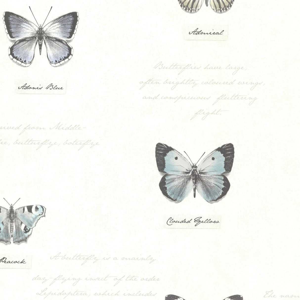 Brewster 2532-20455 Admiral Black Butterflies And Script Wallpaper