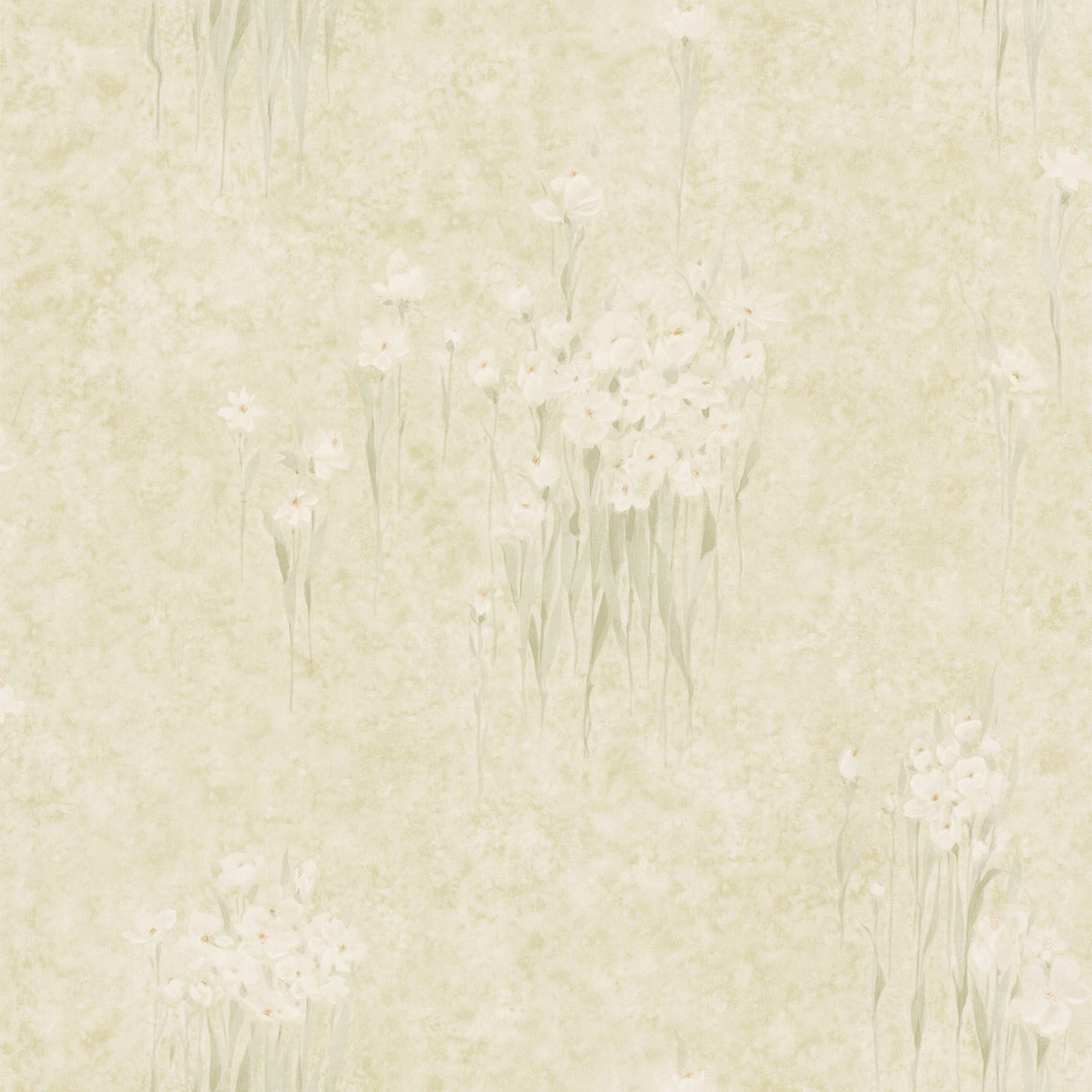 Brewster 2532-59103 Mae Beige Jasmine Flowers Wallpaper