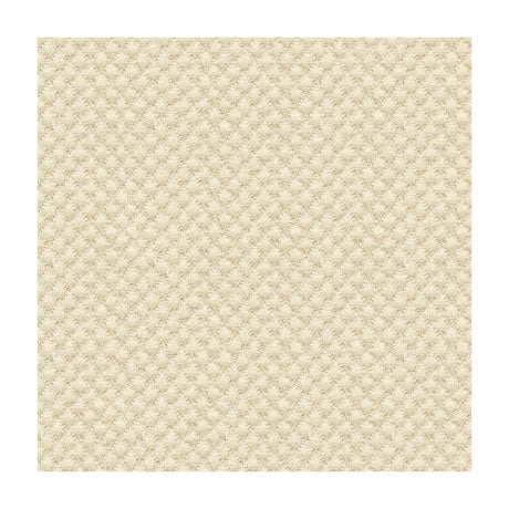KRAVET DESIGN 25807.1116.0 KRAVET DESIGN 25807-1116 Fabric - Eade's Wallpaper