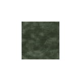 KRAVET COUTURE 26117.30.0 CHIC VELOUR SILVER SAGE Fabric - Eade's Wallpaper