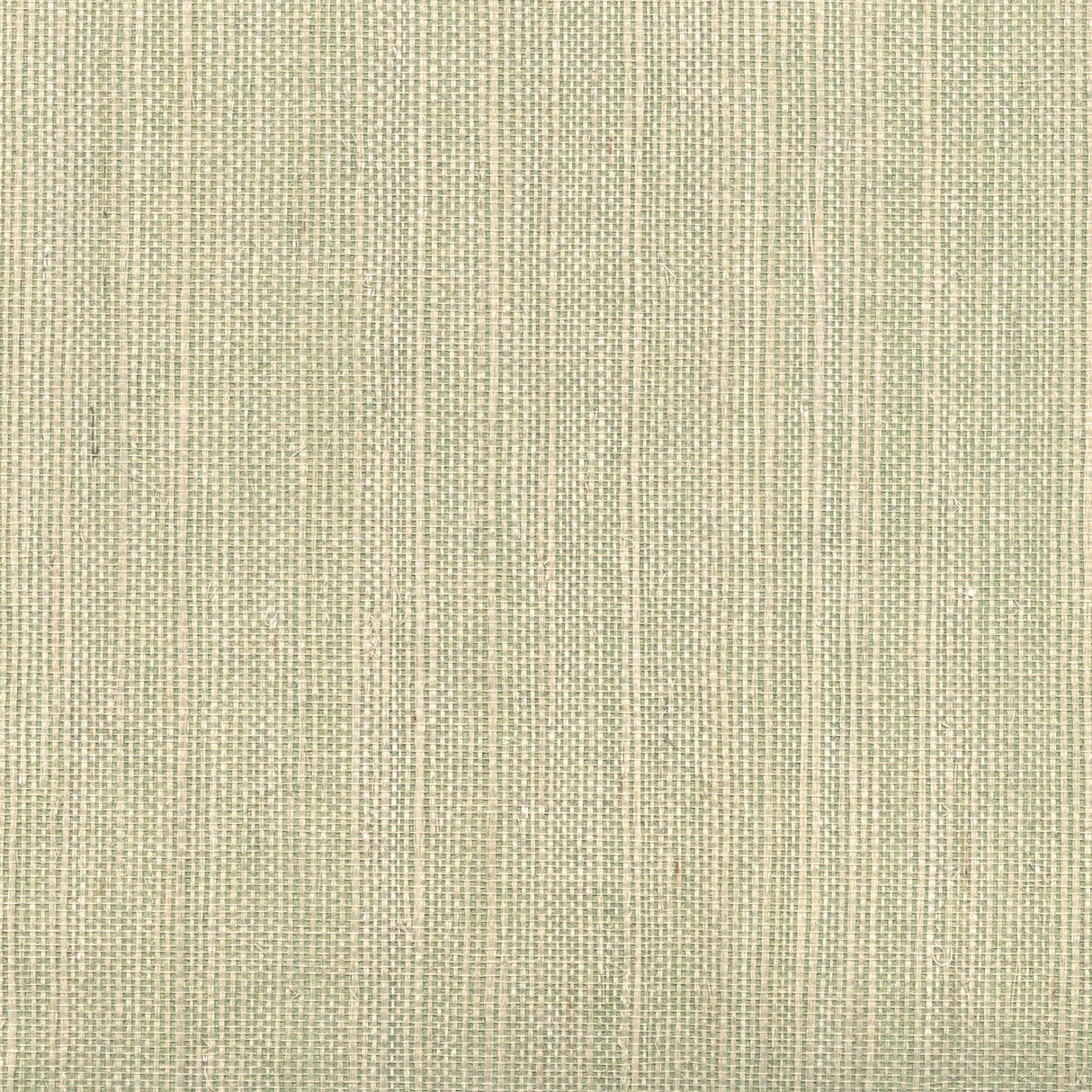 Kenneth James 2622-30227 Barbora Light Green Grasscloth Wallpaper