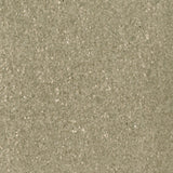 Kenneth James 2622-30245 Dmitry Charcoal Mica Wallpaper