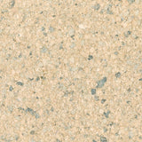 Kenneth James 2622-30247 Petra Bone Mica Chip Wallpaper