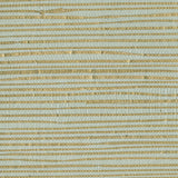 Kenneth James 2622-30249 Arina Turquoise Grasscloth Wallpaper