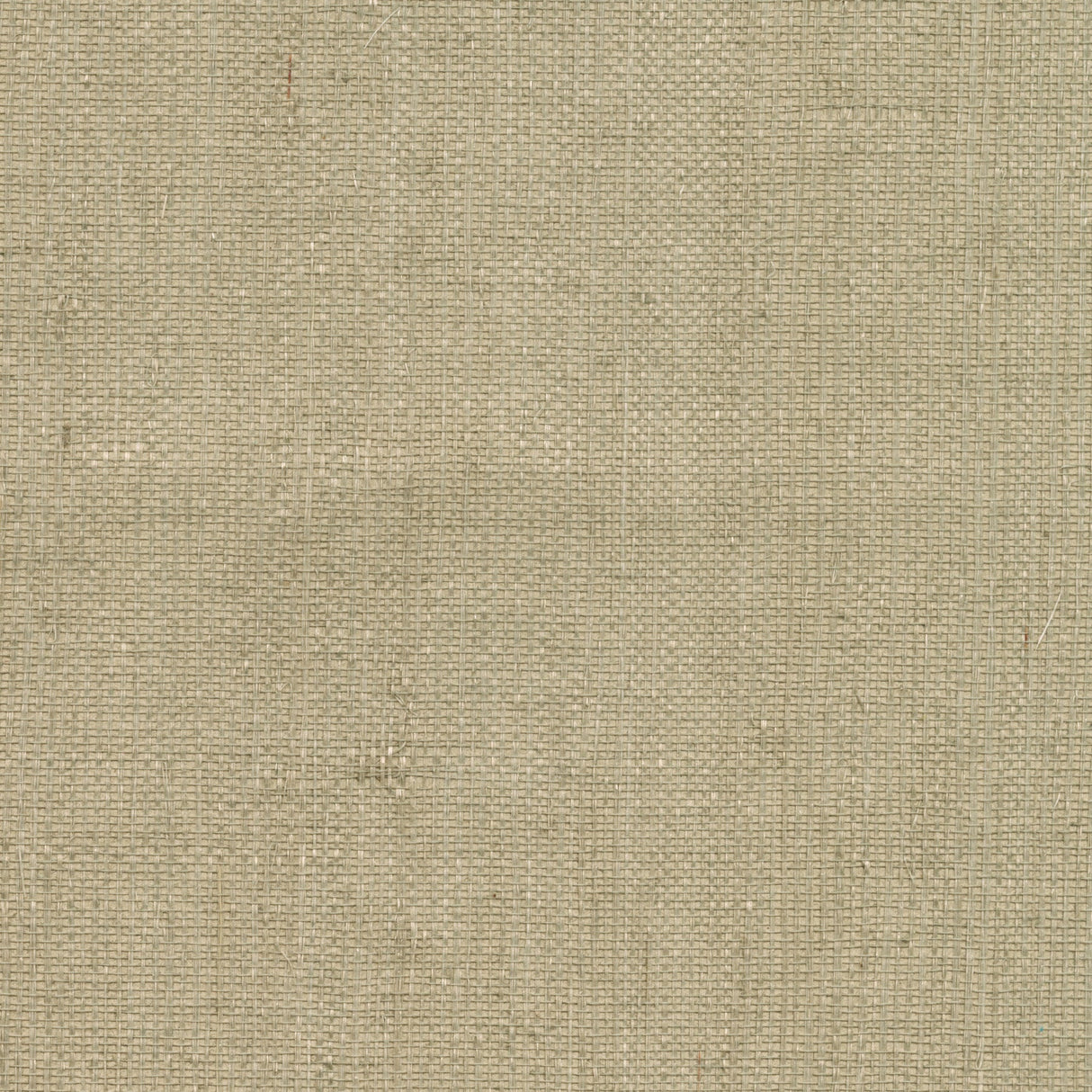 Kenneth James 2622-44505 Ruslan Light Green Grasscloth Wallpaper