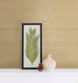 Kenneth James 2622-65624 Kostya Cream Grasscloth Wallpaper