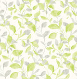 A-Street Prints 2656-004036 Catalina Trail Green Vine Wallpaper