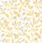 A-Street Prints 2656-004037 Catalina Trail Honey Vine Wallpaper