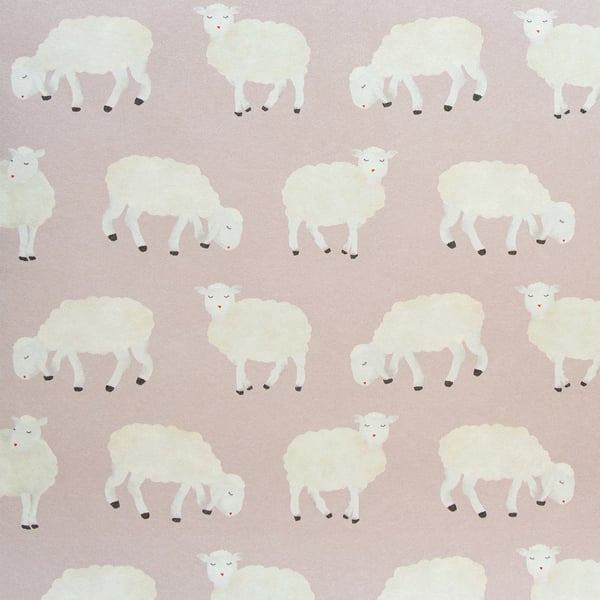 Galerie 26827 Pink Sweet Sheep - Eade's Wallpaper