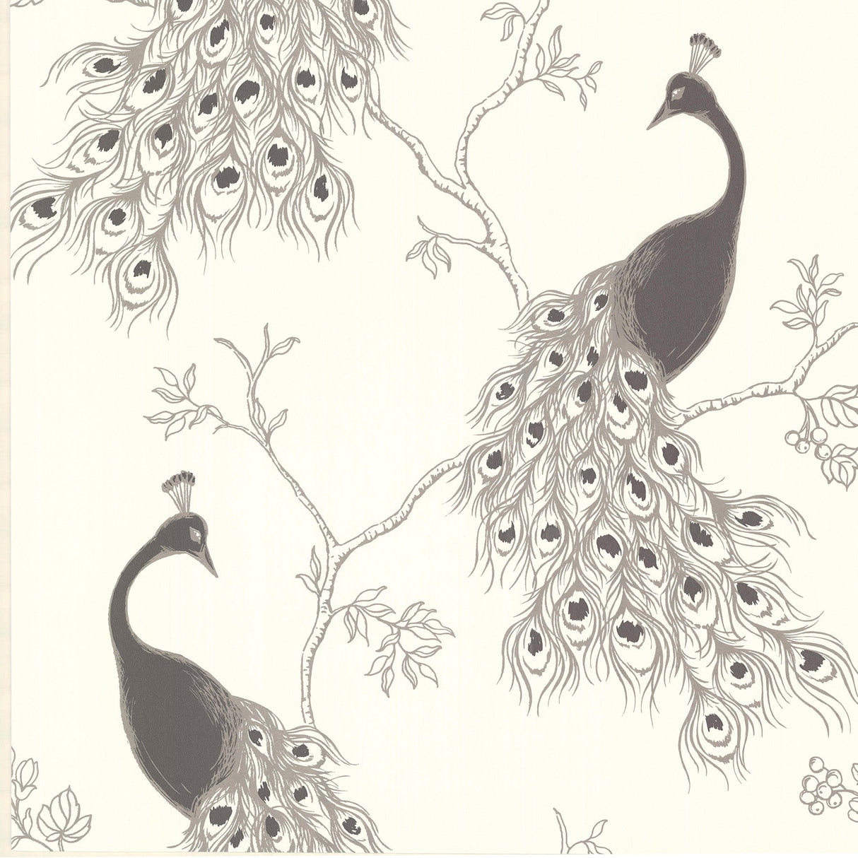 Brewster 2686-20272 Prevost Silver Peacock Wallpaper