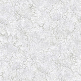 Eade's 26867-sample Silver Grey