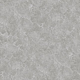 Eade's 26869-sample Silver Grey