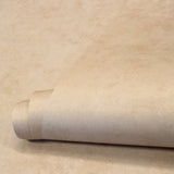 Eade's GH26931-23-sample Beige