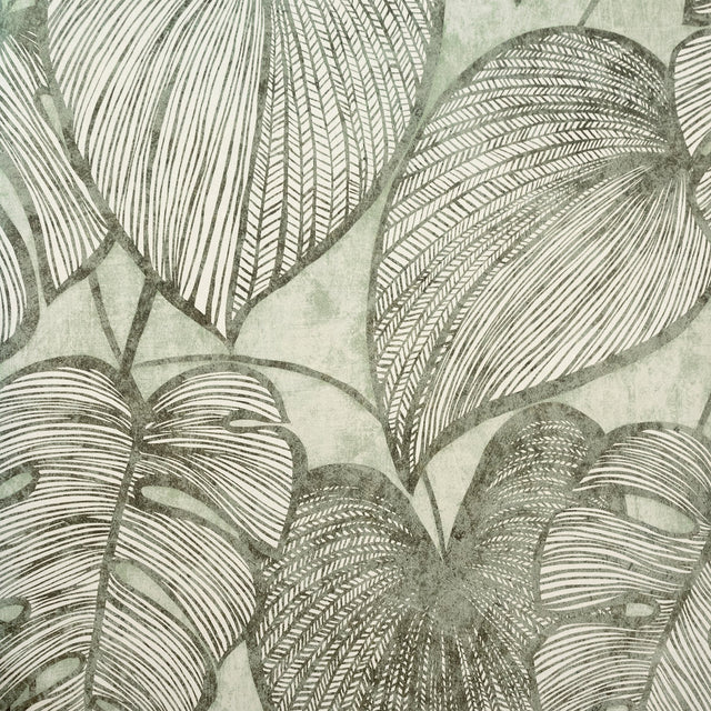 Galerie GH26935-23 Green Monstera Lf - Eade's Wallpaper