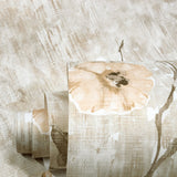 Eade's GH26964-23-sample Silver Grey