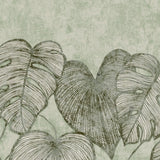 Eade's GH26973-23-sample Green