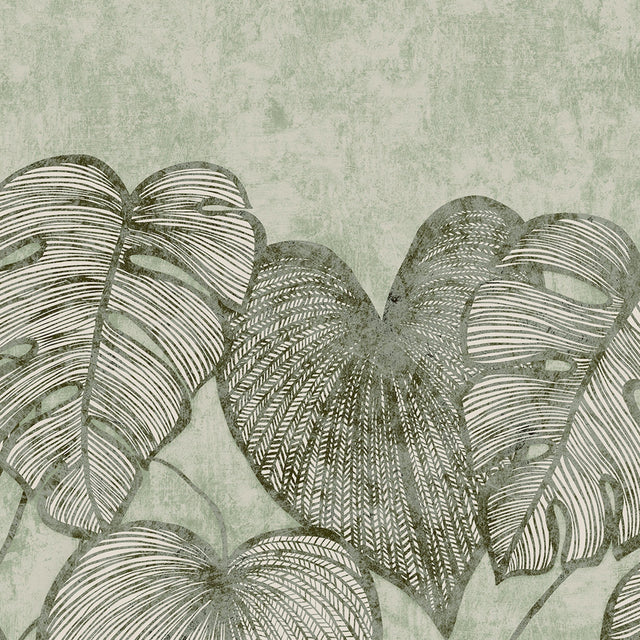 Galerie GH26973-23 Green Monstera Lf - Eade's Wallpaper