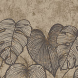 Eade's GH26975-23-sample Bronze Brown