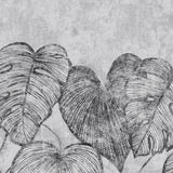 Eade's GH26977-23-sample Silver Grey