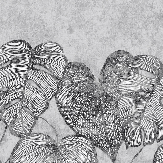 Galerie GH26977-23 Silver Grey Monstera Lf - Eade's Wallpaper