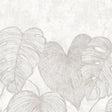 Galerie GH26979-23 White Monstera Lf - Eade's Wallpaper