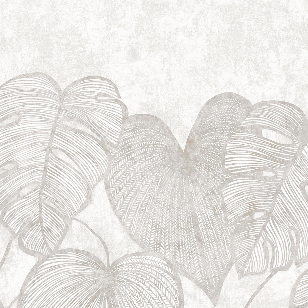 Galerie GH26979-23 White Monstera Lf - Eade's Wallpaper