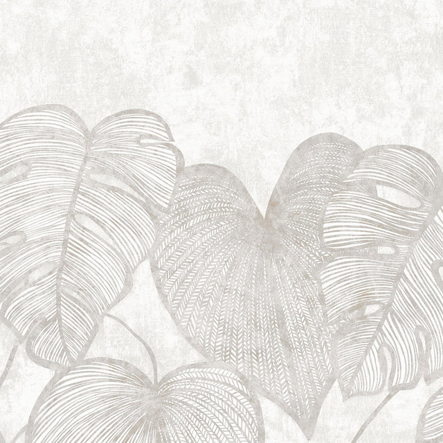 Galerie GH26979-23 White Monstera Lf - Eade's Wallpaper