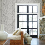 A-Street Prints 2716-23861 Neptune Grey Forest Wallpaper