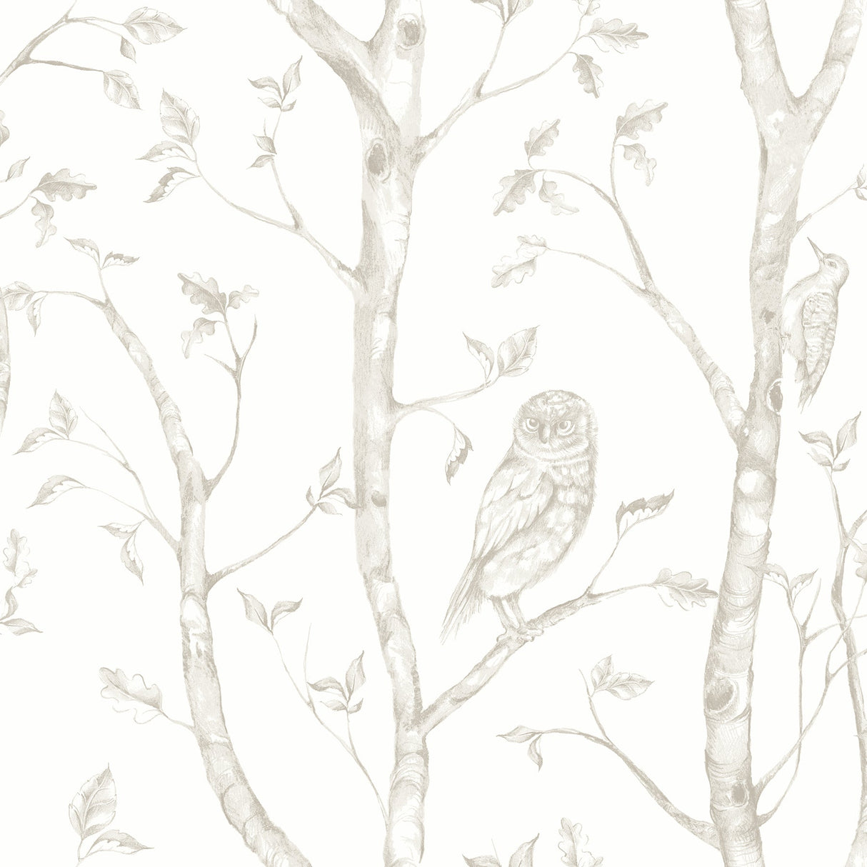 A-Street Prints 2716-23862 Neptune Taupe Forest Wallpaper