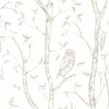 A-Street Prints 2716-23862 Neptune Taupe Forest Wallpaper