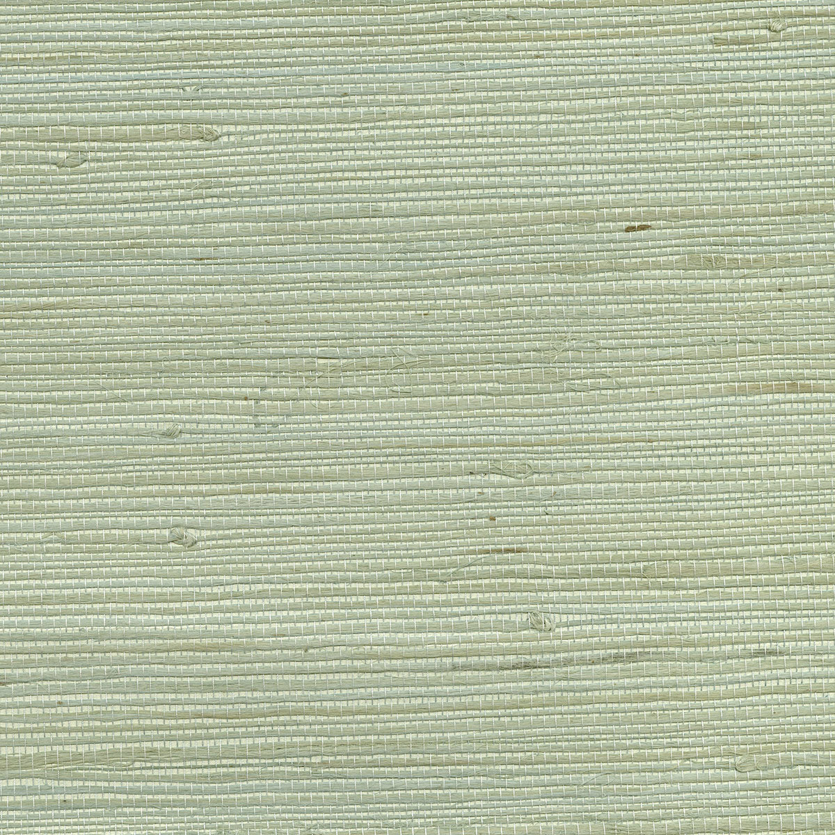Kenneth James 2732-65609  Wallpaper - Eade's