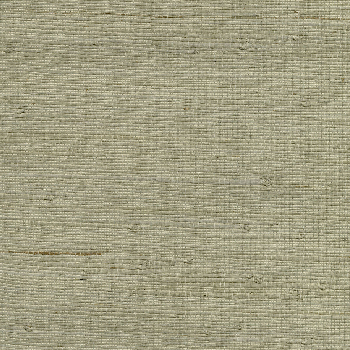 Kenneth James 2732-80000  Wallpaper - Eade's