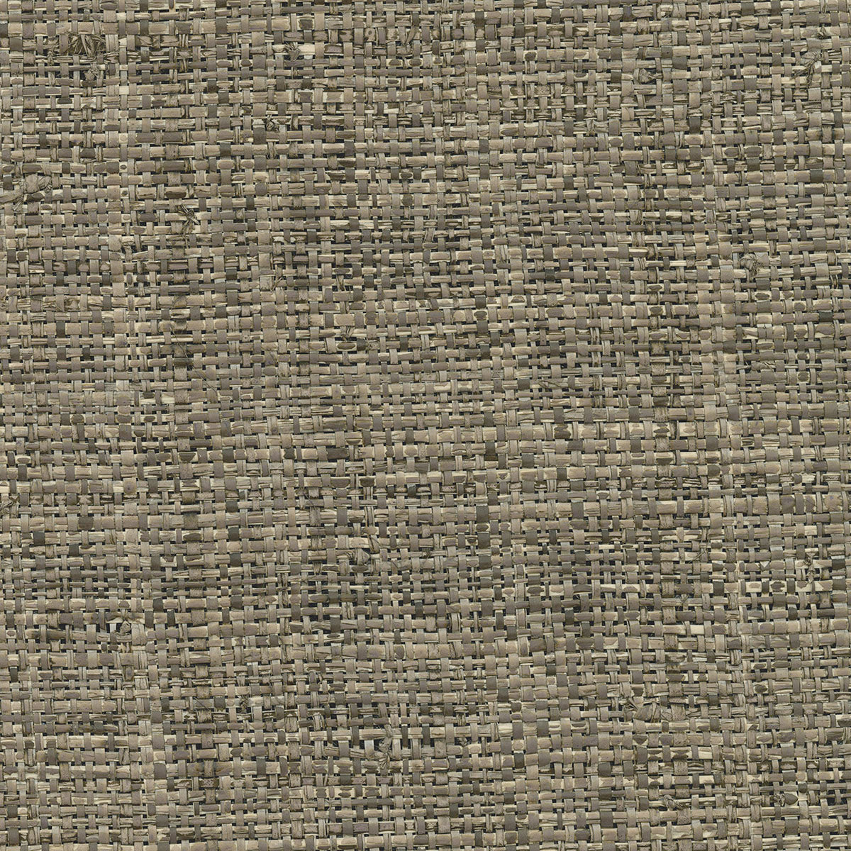 Kenneth James 2732-80041  Wallpaper - Eade's