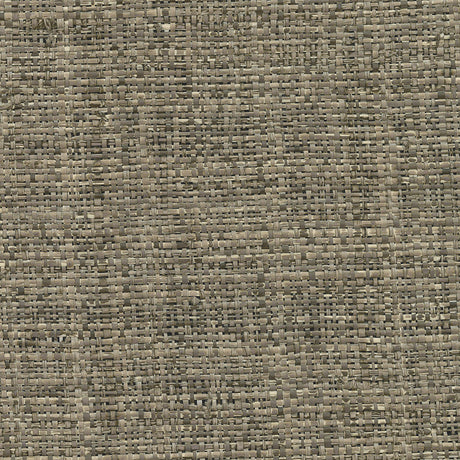 Kenneth James 2732-80041  Wallpaper - Eade's