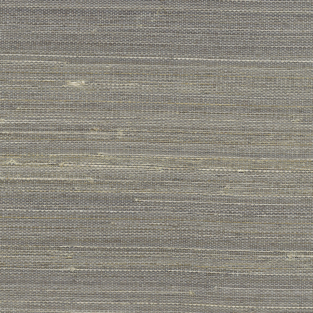 Kenneth James 2732-80042  Wallpaper - Eade's