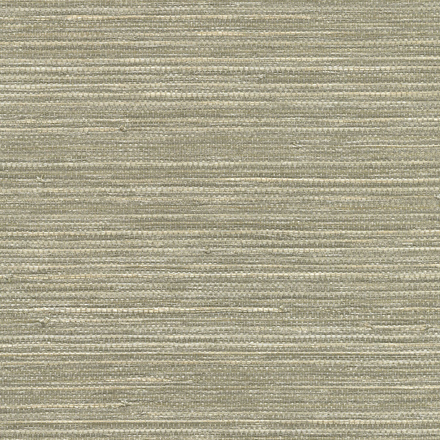 Kenneth James 2732-80038  Wallpaper - Eade's