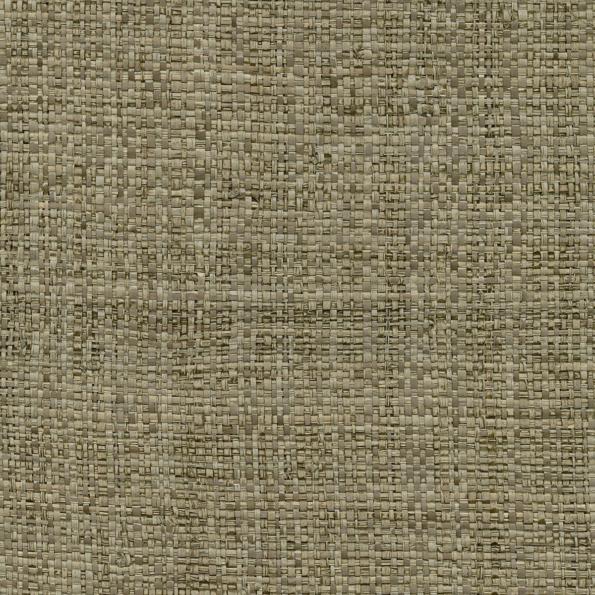 Kenneth James 2732-80049  Wallpaper - Eade's