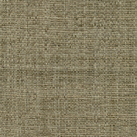 Kenneth James 2732-80049  Wallpaper - Eade's