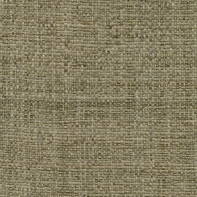 Kenneth James 2732-80049  Wallpaper - Eade's