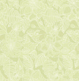 Brewster 2734-003538 Toulouse Lime Floral Wallpaper