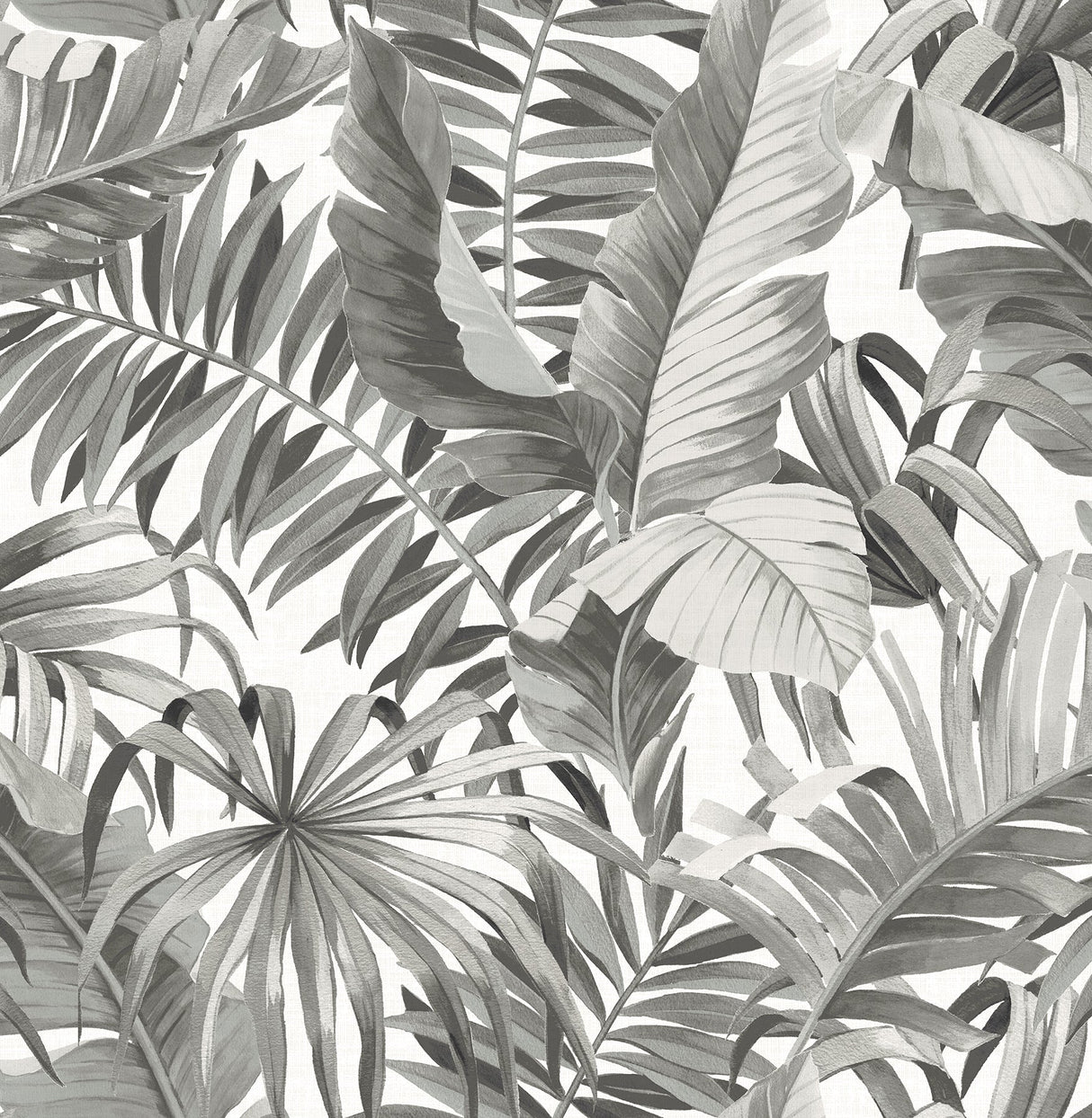 A-Street Prints 2744-24134 Alfresco Black Palm Leaf Wallpaper