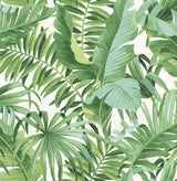 A-Street Prints 2744-24136 Alfresco Green Palm Leaf Wallpaper