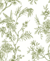 A-Street Prints 2763-24234 Jessamine Green Floral Trail Wallpaper