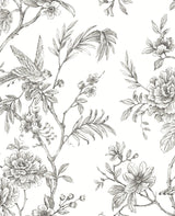 A-Street Prints 2763-24237 Jessamine Grey Floral Trail Wallpaper