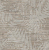 Brewster 2766-24401 Motmot Taupe Palm Wallpaper