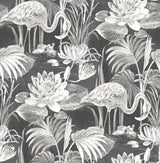 Brewster 2766-24621 Miltonia Black Flamingo Wallpaper