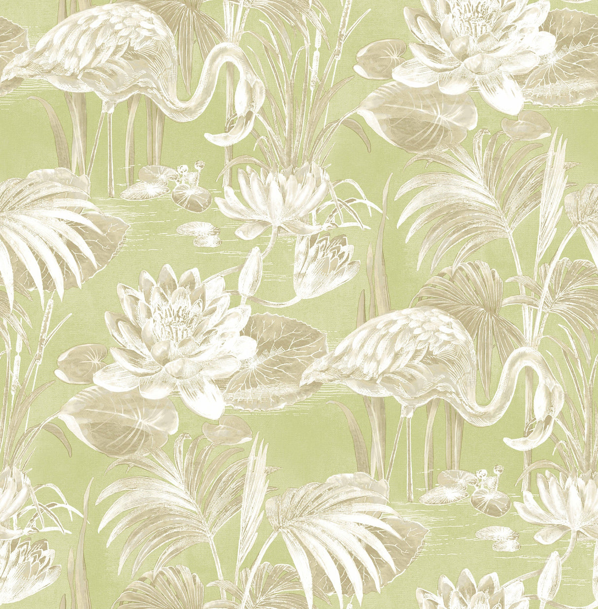 Brewster 2766-24624 Miltonia Green Flamingo Wallpaper