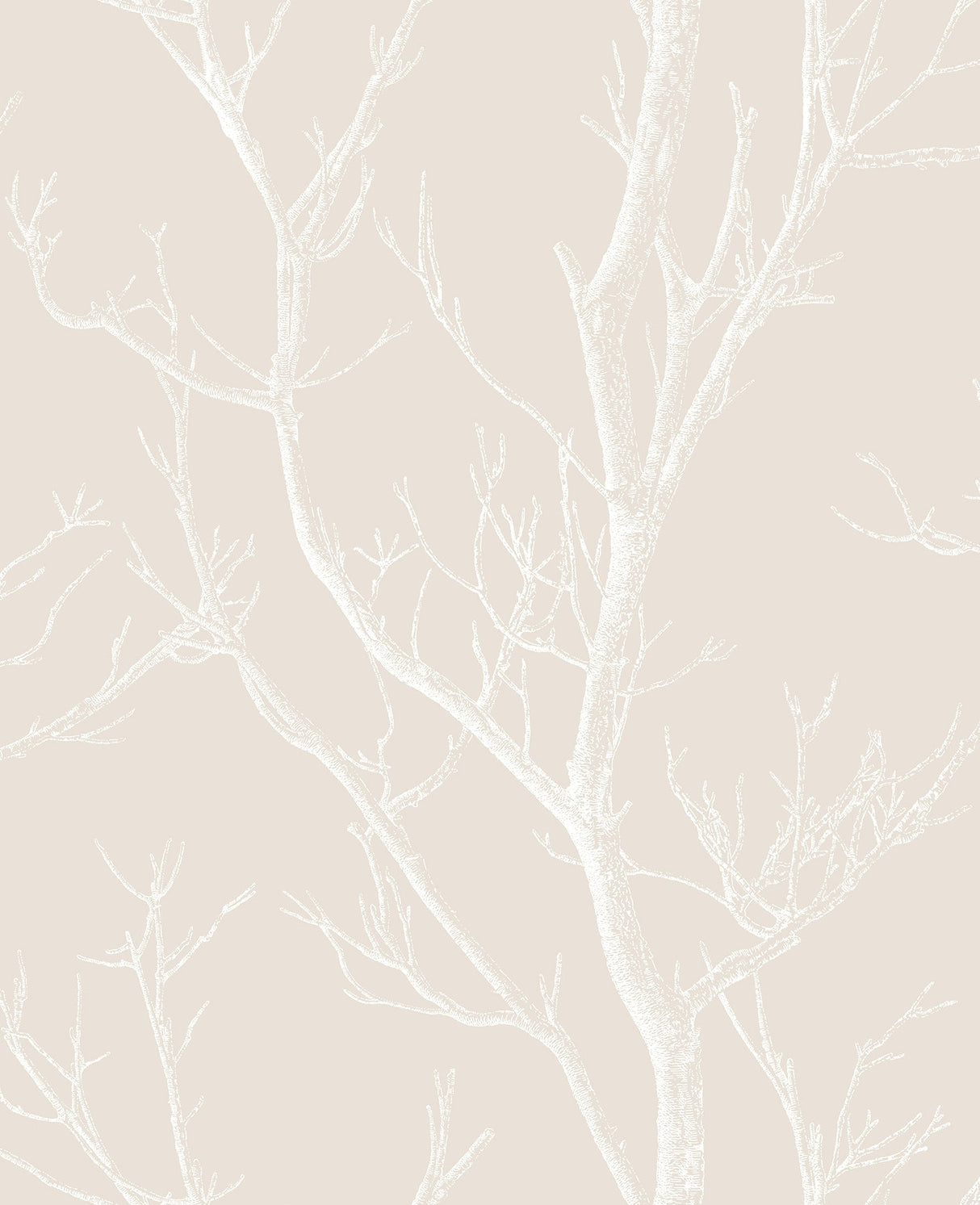 Brewster 2766-24638 Laelia Beige Silhouette Tree Wallpaper