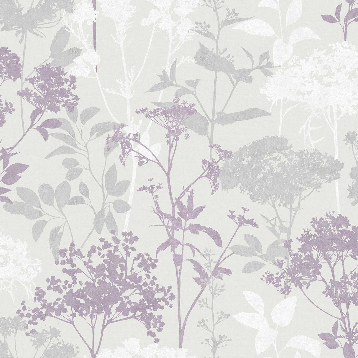 Brewster 2766-42034 Brassia Lavender Silhouette Floral Wallpaper