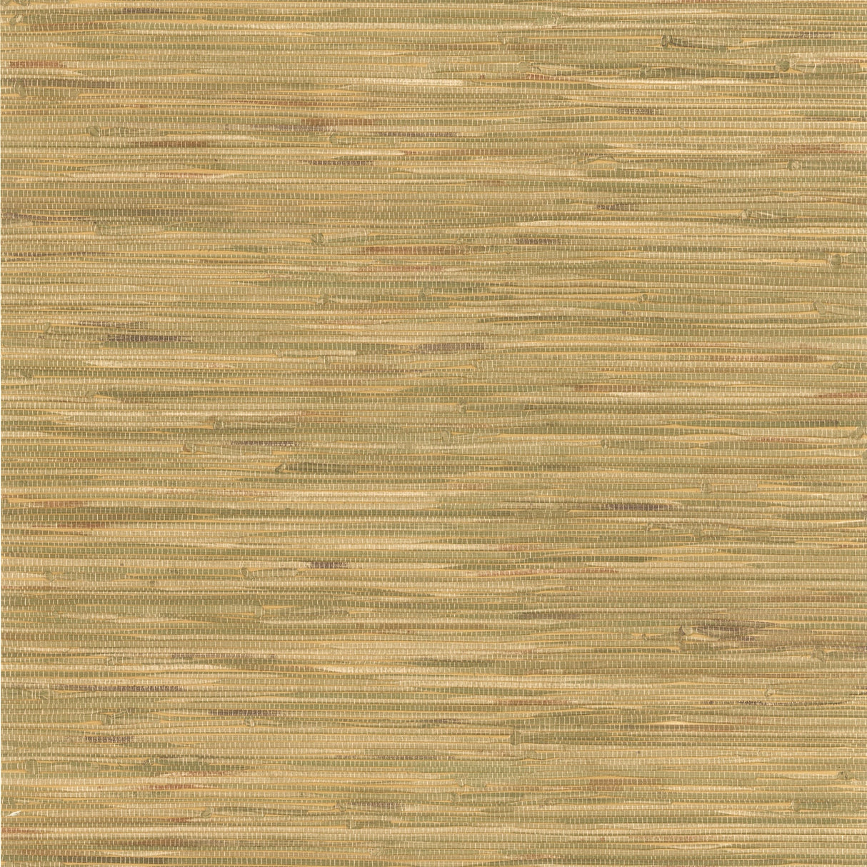 Brewster 2767-44140 Cate Light Green Non Woven Grasscloth Wallpaper